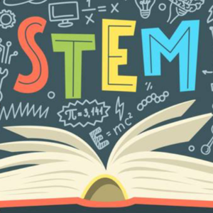 Stem link